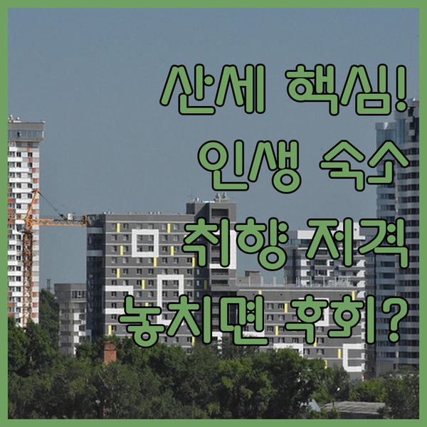 산세바스티안 숙소 당신의 여행 스타일에 딱 맞는 최고의 베이스캠프 찾기