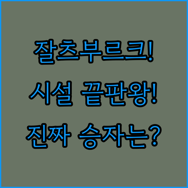 모차르트의 고향 잘츠부르크 호텔 대전 라운지 사우나 노래방 승자는 어디