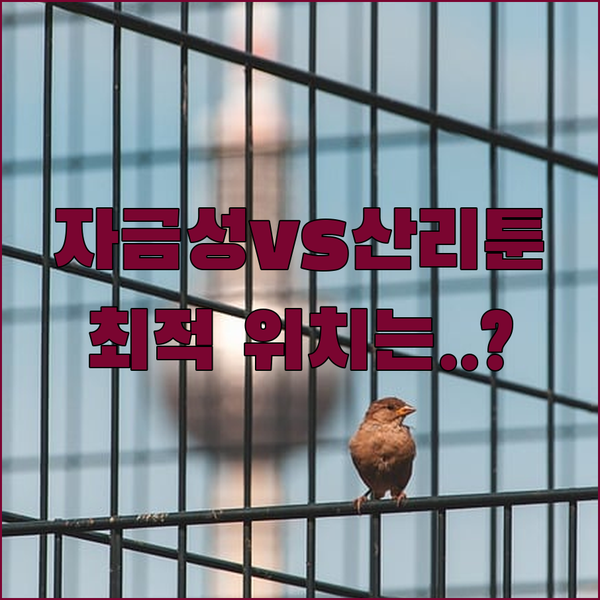 베이징 숙소 정답지 자금성 vs 산리툰 위치별 완벽 비교