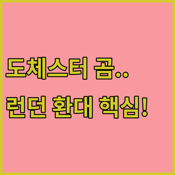 도체스터 곰 인형을 아시나요 런던 최고의 섬세한 환대를 찾는 당신에게