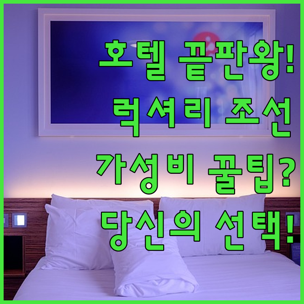 서울 호텔 끝판왕 비교 럭셔리 웨스틴조선 가성비 스카이파크 당신의 취향을 저격할 곳