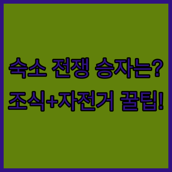 암스테르담 숙소 전쟁 3대 호텔 레지던스 무료 조식 자전거 승자는