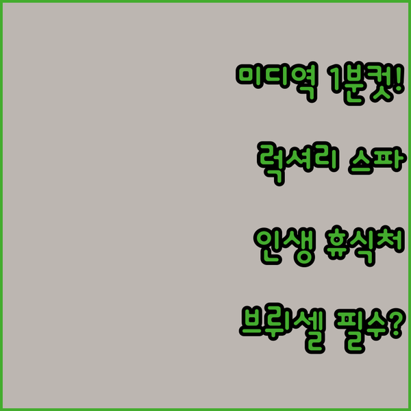 브뤼셀 미디역 1분 럭셔리 스파호텔 당신이 놓친 최고의 휴식처