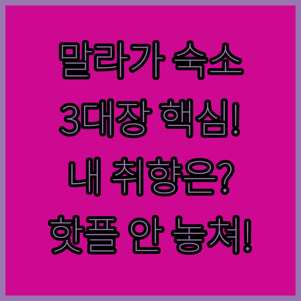성인 전용 아파트 게스트하우스 핫플 호텔 말라가 센트로 숙소 3대장 중 내 여행 취향은