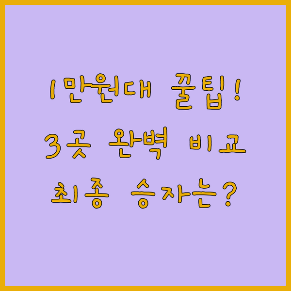 미케 비치 1만원대 가성비 호텔 3파전 발렌시아 라온 로열 참 완벽 비교 승자는