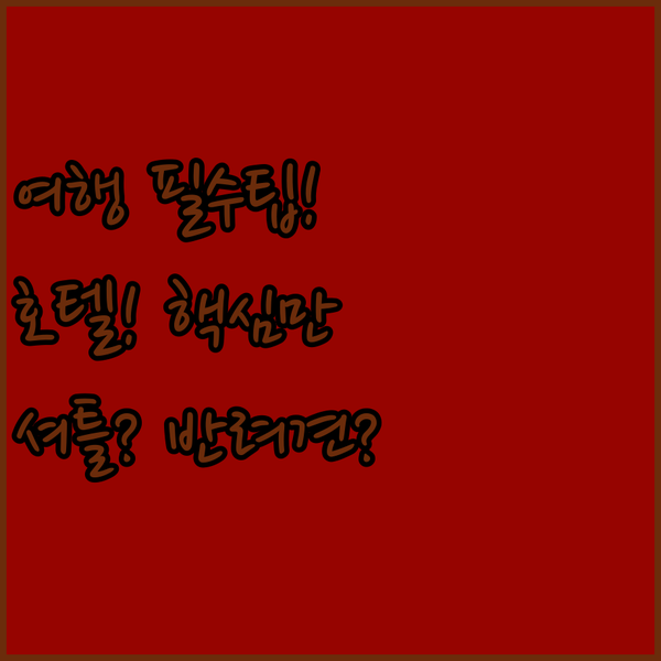 제네바 여행 전 필수 확인 공항 셔틀부터 반려동물 정책까지 완벽한 호텔 고르는 법