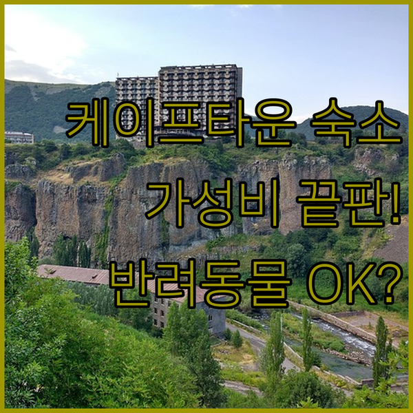 케이프타운 숙소 스파 룸서비스 카지노 심지어 반려동물까지 완벽한 취향 저격 가성비 끝판왕 3곳