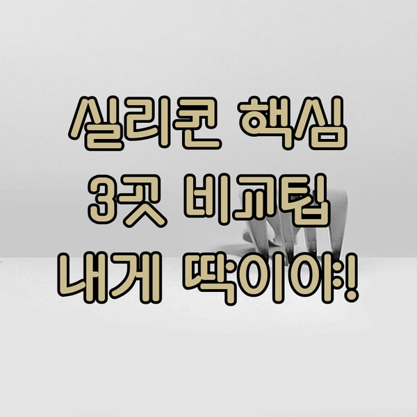 실리콘 밸리 홀리데이 인 익스프레스 3곳 내게 딱 맞는 숙소 고르는 비밀