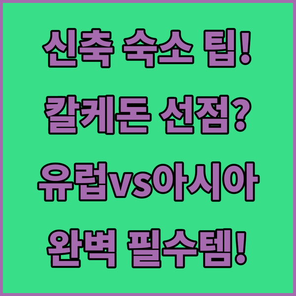 신축 칼케돈 스위트 선점 예약 이스탄불 유럽 아시아 지구 숙소 완벽 분석