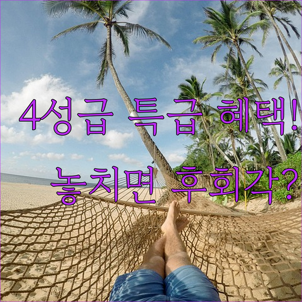 니스 가족여행 4성급 호텔 유아침대 무료 조식 혜택까지 놓치면 후회할 완벽 비교 가이드