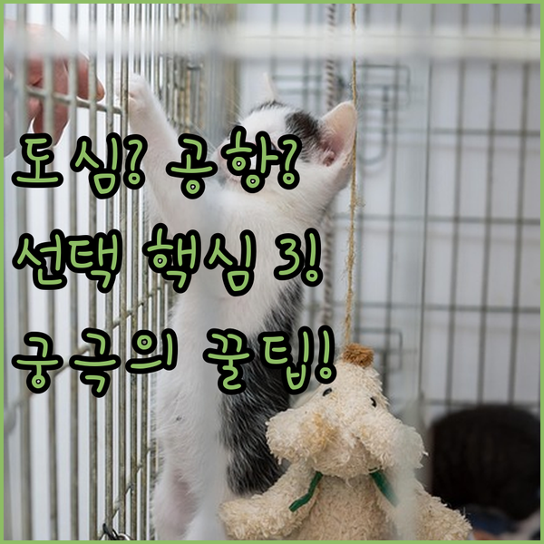 샬럿 최고의 호텔 도심파 공항파 당신의 선택을 결정할 3가지 비교