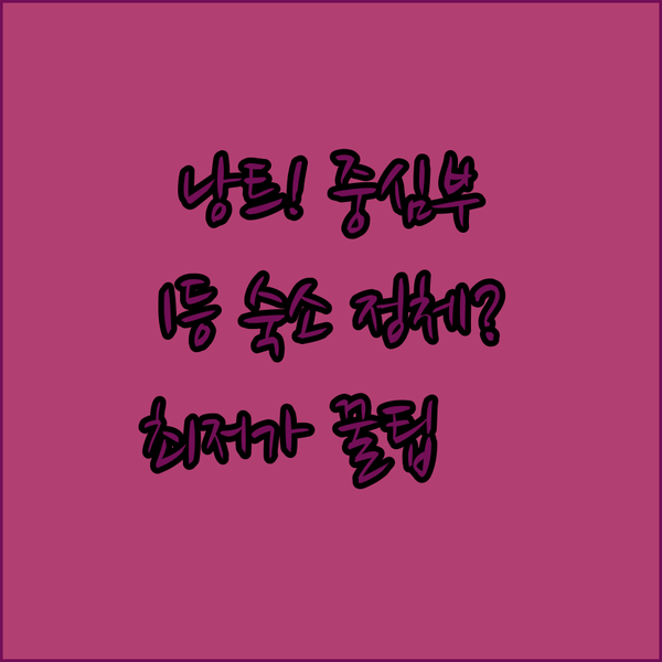 낭트 중심부 호텔 3파전 가격 경쟁력 1등 숙소의 정체는