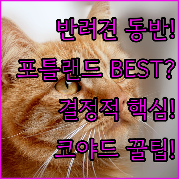 반려견과 포틀랜드 여행 간다면 코트야드 시티 센터를 선택해야 하는 결정적 이유