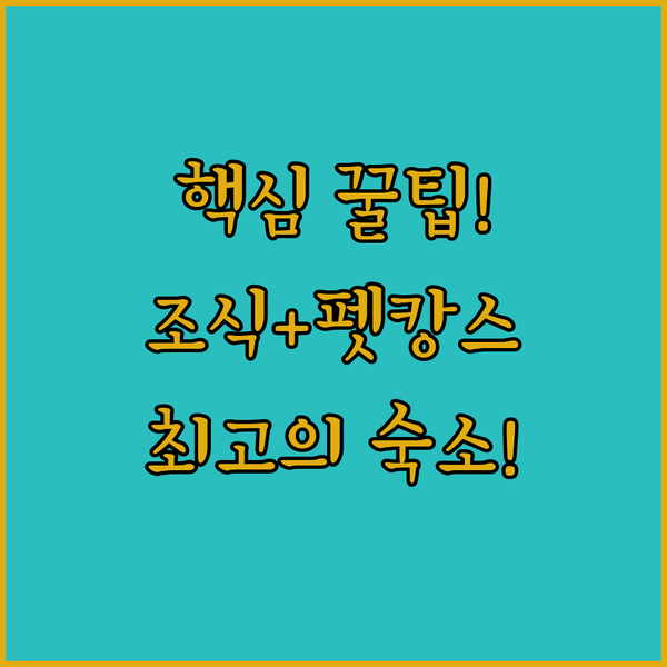 콜럼버스 호텔 무료 조식과 반려동물 동반 이 모든 것을 갖춘 최고의 숙소는?