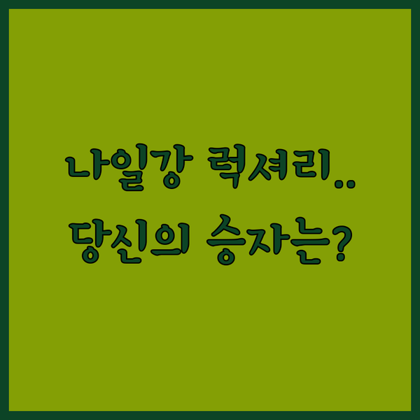 나일강 럭셔리 호텔 전쟁 카이로 메리어트 힐튼 슈타이겐베르거 당신의 선택은