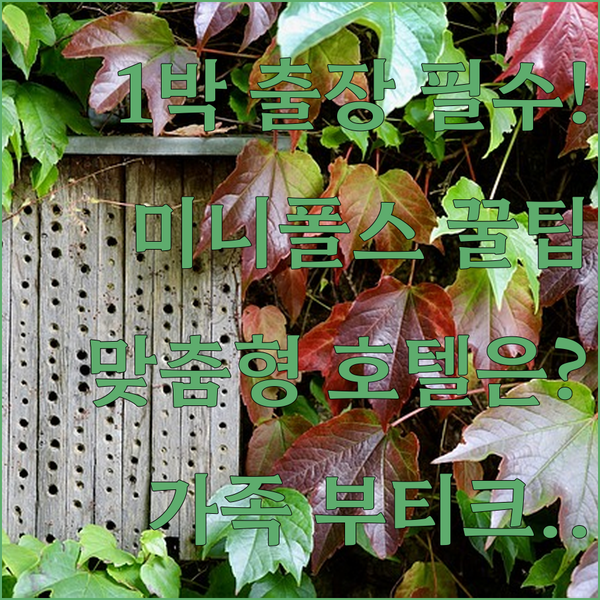 미니애폴리스에서 하룻밤 출장 부티크 가족 여행자를 위한 다운타운 맞춤형 호텔은