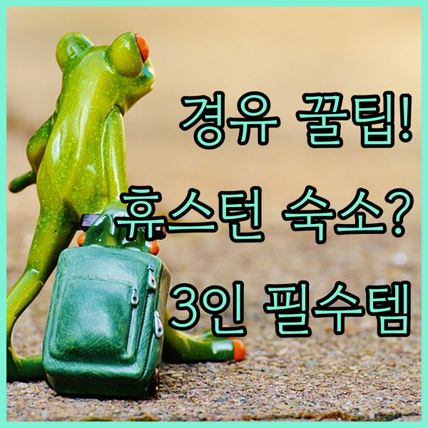 경유 출장 가족 여행 휴스턴 공항 호텔 3인 3색 완벽 추천 가이드