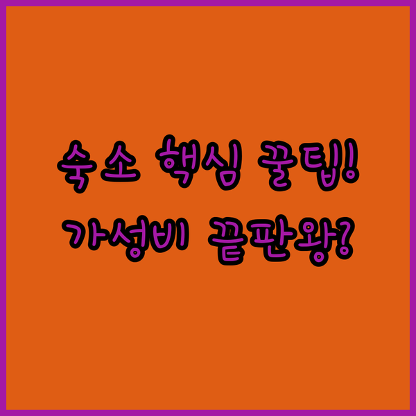 토리노 숙소 3곳 완벽 비교 가성비 끝판왕은 어디일까요