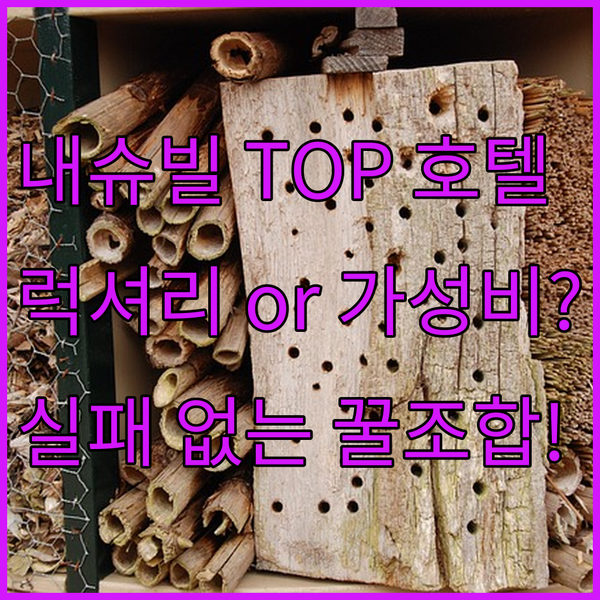 음악의 도시 내슈빌 최고의 호텔 럭셔리부터 실용성까지 취향별 완벽 분석