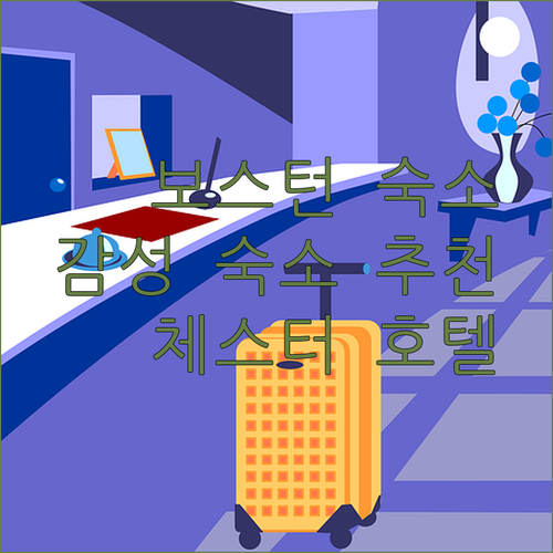 보스턴 감성 숙소 체스터 호텔에서 현지인처럼 살아보기!