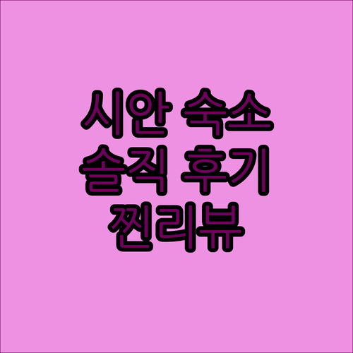 시안 그랜드 머큐어 시안 온 렌민 스퀘어 호텔 실제 투숙객 생생 리뷰