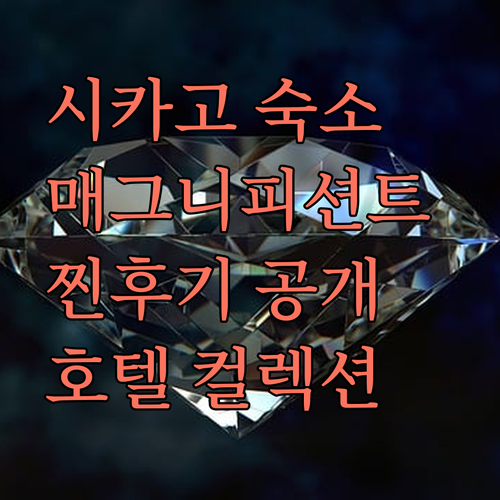 시카고 매그니피션트 마일의 숨겨진 보석, 더 시카고 호텔 컬렉션! 실제 투숙객 후기!