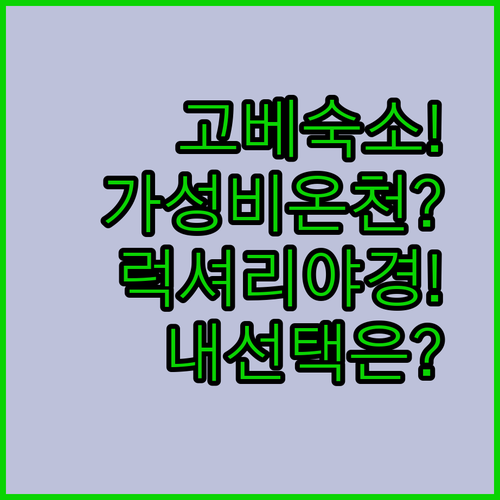 고베 숙소 비교 추천, 가성비 온천과 럭셔리 야경 중 내 선택은
