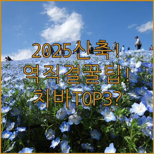 2025년 오픈 신축부터 역직결까지, 치바 호텔 추천 TOP 3