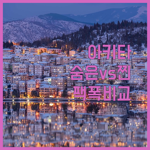 겨울 아키타의 숨은 보석, 도미 인과 카메노이 호텔 중 당신의 선택은