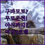 구마모토 숙소 고민 끝 무료 온천에 야식까지 역 앞 3호텔 완벽 분석