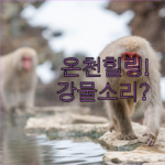 자연 속 힐링 온천 쓰에타테 온센 호텔 히젠야, 강물 소리와 함께하는 완벽한 휴식
