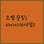 하마마쓰 여행 전에 보는 꿀팁 호텔 콩코드 vs 컴포트 vs 다이와 로이넷 완벽 비교