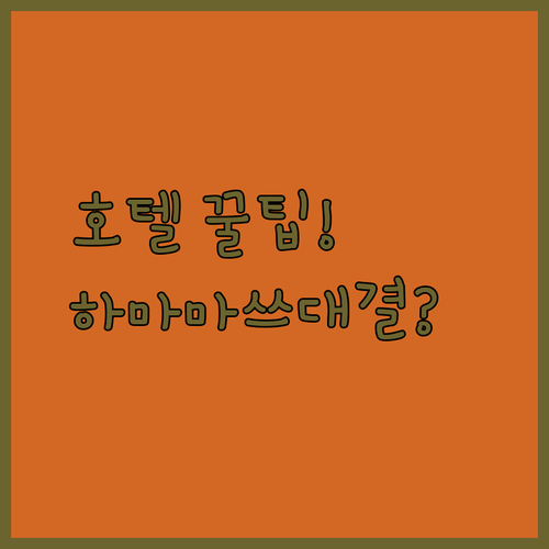 하마마쓰 여행 전에 보는 꿀팁 호텔 콩코드 vs 컴포트 vs 다이와 로이넷 완벽 비교