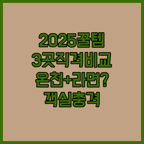 2025년 다카마츠 호텔 3곳 직접 비교, 온천과 무료 라멘부터 넓은 객실까지