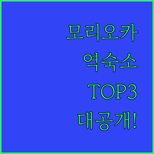 모리오카 역 주변 숙소 TOP3 비교 가성비부터 최신 시설까지 한눈에
