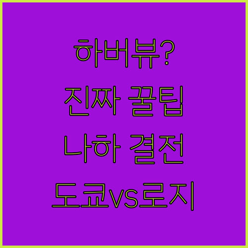오키나와 나하 호텔 비교, 하버뷰 로와지르 도큐 스테이 중 당신의 선택은