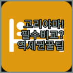 고리야마 역세권 호텔 비교 당신의 여행 스타일에 맞는 최적의 선택은