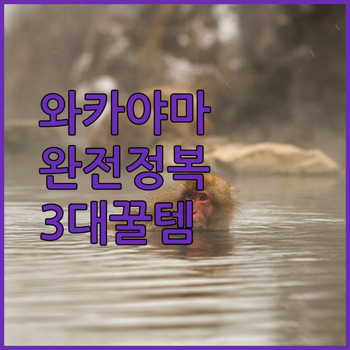 와카야마 여행 전 필독, 온천 무료 간식 교통 모두 잡은 호텔 3선